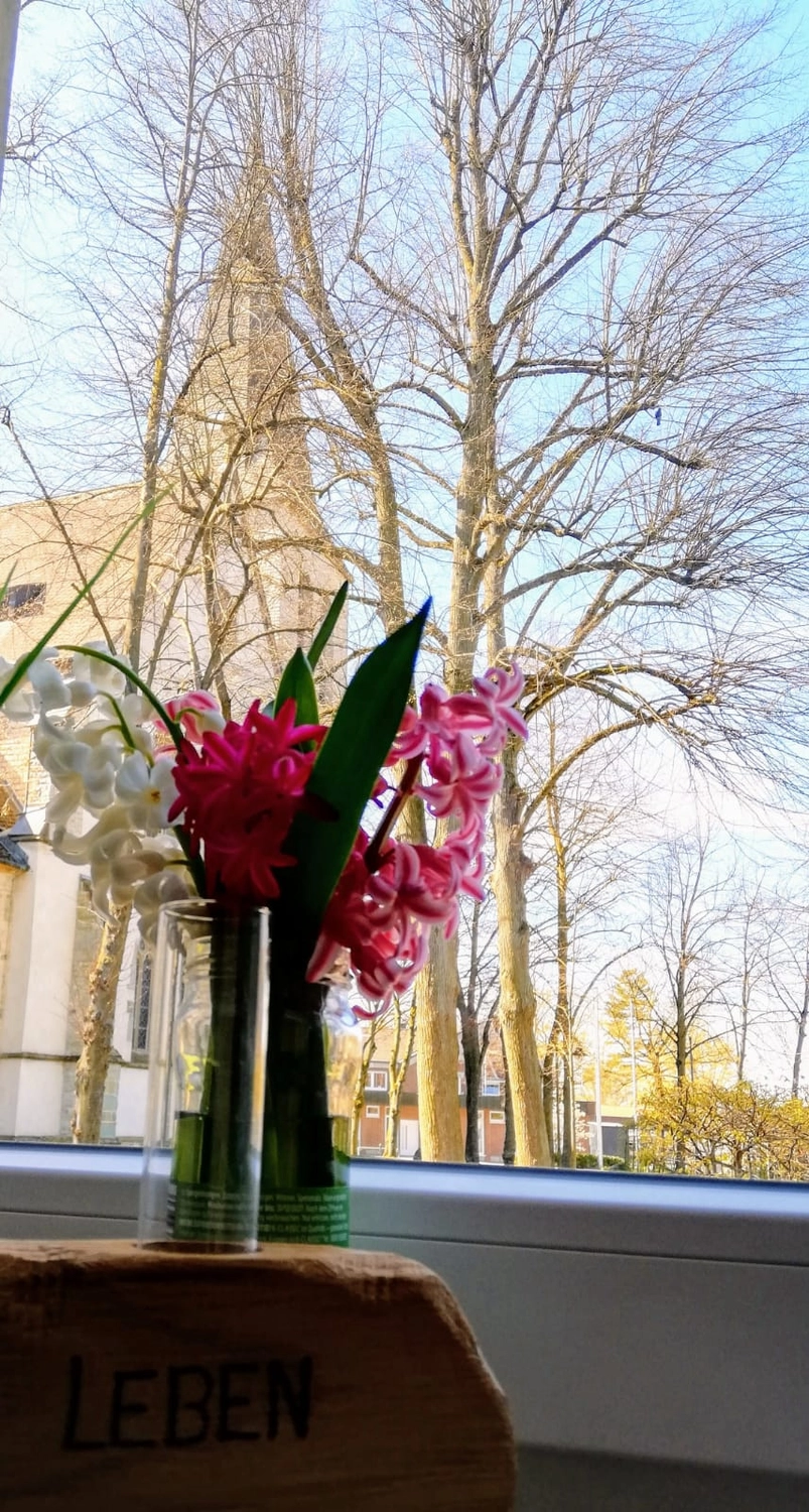 Außenansicht des Praxisraums