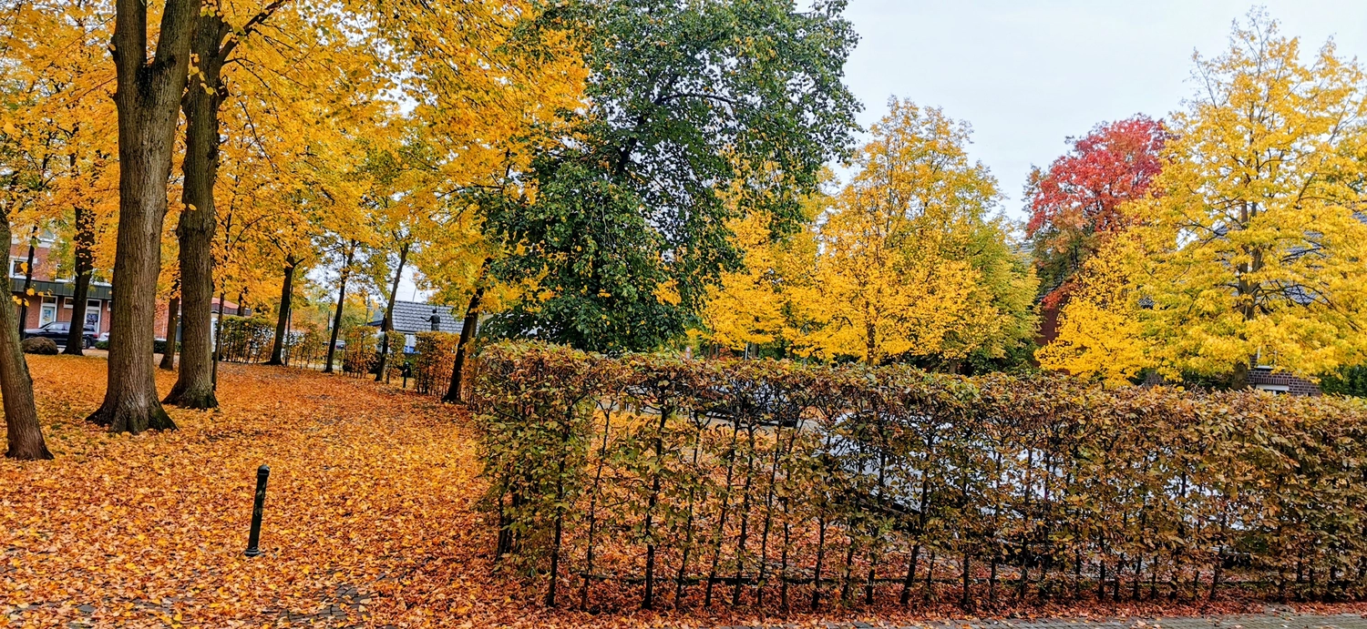 Außenansicht des Praxisraums