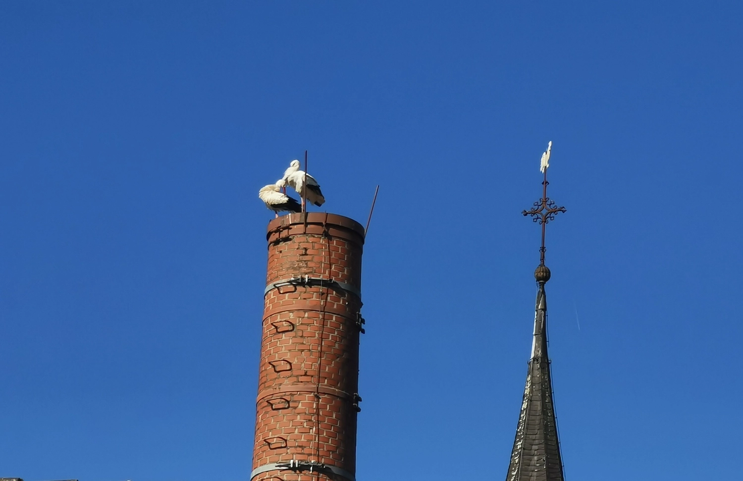 Außenansicht des Praxisraums